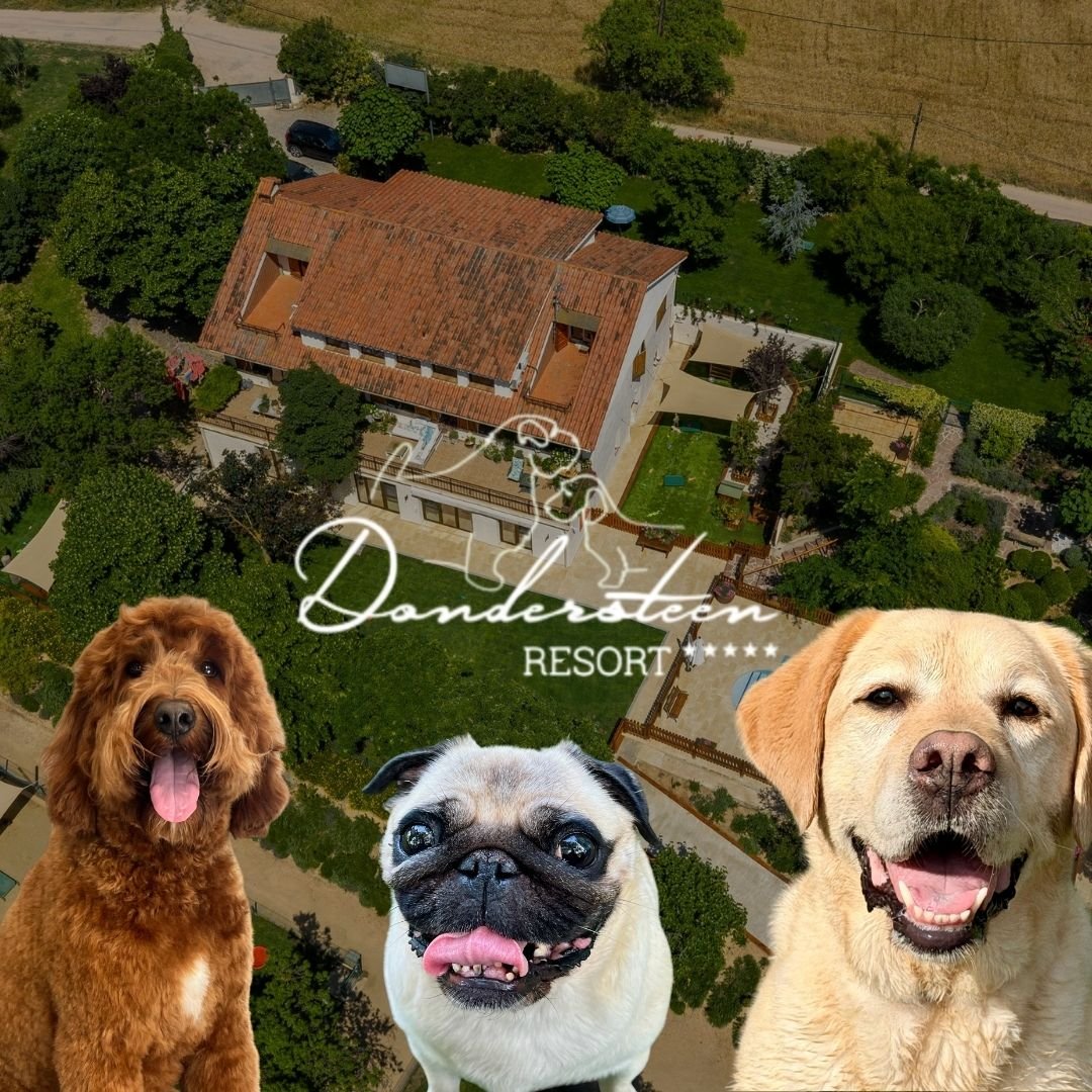 Dondersteen